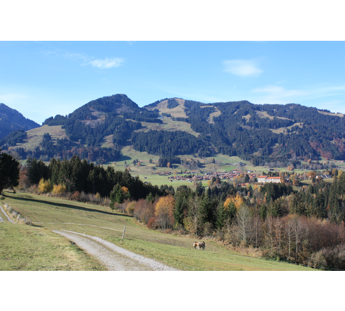 37 Hundetreffen Obermaiselstein 2011